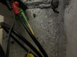 Kable światłowodowe i ethernetowe podłączone do urządzenia.