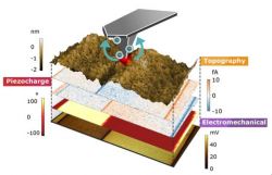Wzmacniacz do elektrometru w mikroskopie sił atomowych