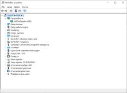 Zrzut ekranu Menedżera urządzeń systemu Windows z podświetlonym komputerem i rozwiniętą sekcją kart graficznych.