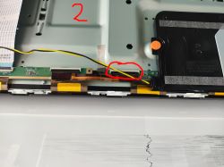Wnętrze telewizora Samsung z widocznym podłączeniem taśmy matrycy.