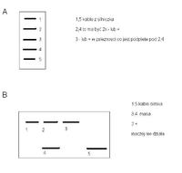 jak podłączyć 6 guzików od elektrycznych szyb