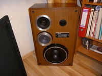 Identyfikacja modelu kolumn Tonsil z głośnikami GDWK 9/80, GD 12/5/4, GDN 25/40/3