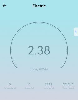 Electric app screen displaying 224.2V voltage and 2.38 kWh usage.