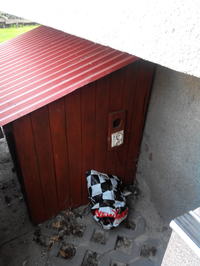 Zdjęcia najlepszych i najgorszych instalacji elektrycznych.