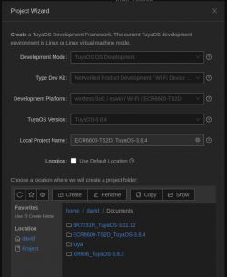 Project wizard in Tuya Wind IDE with selected development options.