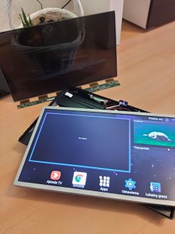 Podłączenie matrycy w Smart TV 24 cale - różnica w okablowaniu 2x2 vs 2x4 żyły