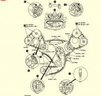 Audi A6 C6 2.4 V6 BDW Timing Diagram, Chain Issues, Left Head Valve Repair & Shaft Blockage