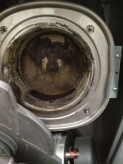 Vaillant Vu int 196 - Uszkodzony wymiennik ciepła