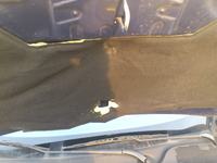 Dacia Dokker - Co mogło uszkodzić izolację silnika? Szkodniki czy elementy auta?