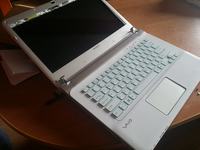 Sony Vaio SVE14: Seeking Guidance on Repairing Broken Matrix Flap Hinges