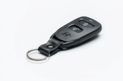 Identyfikacja marki pilota do Hyundai Terracan - zdjęcia w linkach