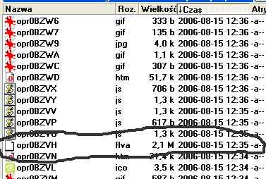 Jak pobrać plik .swf z odtwarzacza Flash na stronie patrz.pl – gdzie znaleźć link?