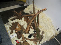 Zautomatyzowana komora dla roślin