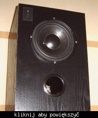 Subwoofer Aktywny 140W GDN-22-300-8-SW Subwoofer Aktywny 140W GDN-22-300-8-SW