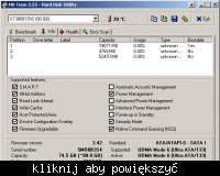 Dysk Seagate 80 GB ST380817AS i parametr read error rate (1)