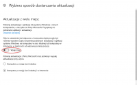Evaluating WSUS Offline Update Tool: Risks, Benefits, and Major Update Handling