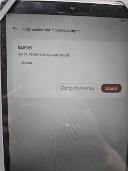 Master 3 2014 2.3 dCi nie kręci rozrusznikiem - diagnoza problemu