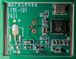 Close-up of a MoreSense LIVE-IOT 2431 electronic module circuit board with visible components and labels.