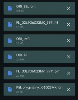 Zrzut ekranu z listą plików zawierających dane ECU.