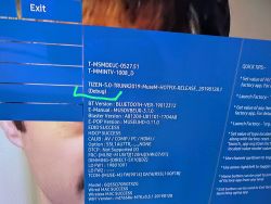 Ekran ustawień serwisowych telewizora z informacją o zainstalowanej wersji Tizen 5.0 Debug.