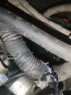 Opel Astra H 1.9cdti - niebiesko-czerwony kabel przy rozruszniku - gdzie podłączyć?