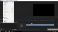 Adobe Premiere Pro CC 2017: Inserting Image in Bottom Corner & Covering Film Section