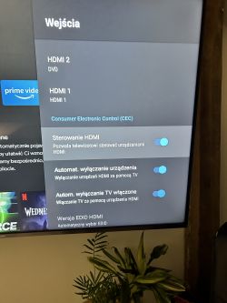 Problem z podłączeniem yamahy - Podłączenie TV do yamahy