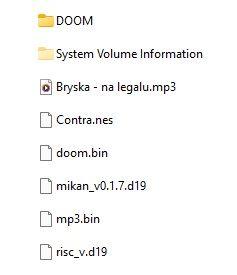 Image of a file explorer window showing a folder containing files: DOOM, System Volume Information, Contra.nes, and others.