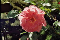 Lustrzanka DIY - projekt mechaniczny