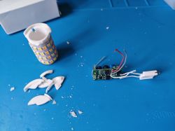 Dismantled Tuya G9 LED Bulb Dismantled Tuya G9 smart LED bulb disassembled into parts.