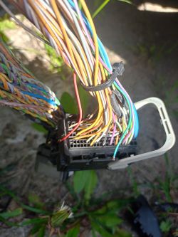 Zbliżenie na wiązkę przewodów w samochodzie z urwanymi przewodami w kolorach czerwonym, żółtym i niebiesko-zielonym.