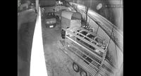Kamera IP 300-1000 PLN, wewnętrzna i zewnętrzna, 40 LED, 90 stopni - co polecacie?