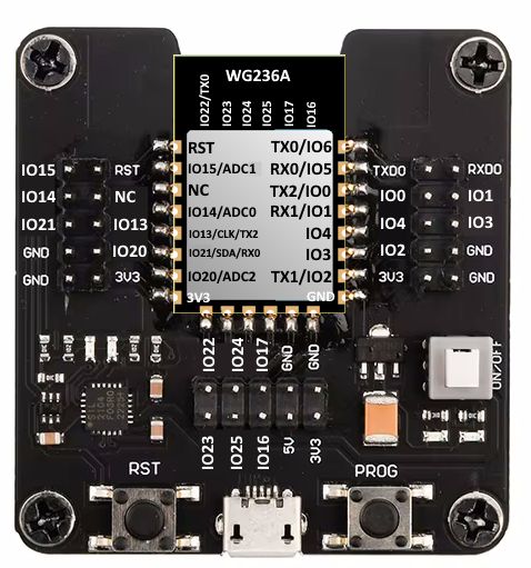 WG236A Electronic Module Electronic module with pin labels and connectors.