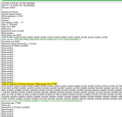Screenshot of debug log during BL602 chip flashing with error message highlighted