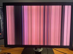 Monitor Dell z kolorowymi pionowymi pasami na ekranie