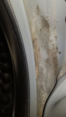 Miele AURIN W3732 - gdzie znaleźć fartuch lub usunąć osad?