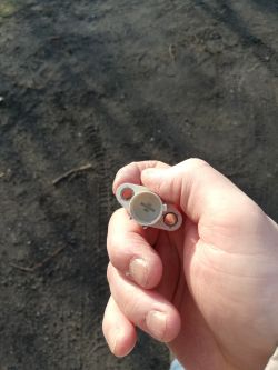 Szukam schematu silnika i ustawienia rozrządu - Honda Accord 5 1.8 CE7 116KM