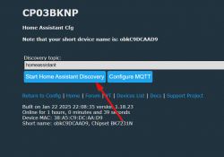 Device configuration interface with buttons to start Home Assistant discovery and configure MQTT.