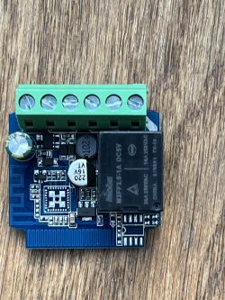 Electronic module with green screw terminal block and black relay on a PCB.