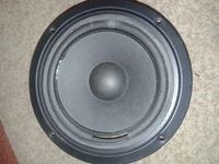 Magnat Art 145 080 - Poszukuję głośnika niskotonowego