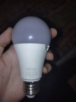 Smart Bulb Held in Hand Person holding a smart bulb with visible text on its casing.