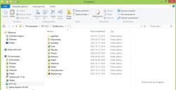 Zrzut ekranu eksploratora plików z widocznymi folderami użytkownika w systemie Windows.