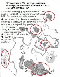 Citroen C5 2.0 HDI 136HP - jerking the engine black smoke from the pipe from tim
