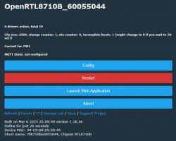 Screenshot of the OpenRTL8710B_60055044 software interface displaying system information.
