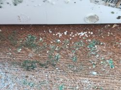 Close-up of a countertop covered with mold and dirt after a flood.
