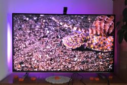 TV screen with Govee LED backlight and calibration camera on top