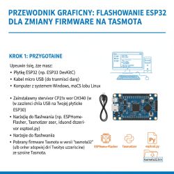 Infographic showing ESP32 flashing preparation step for Tasmota firmware change