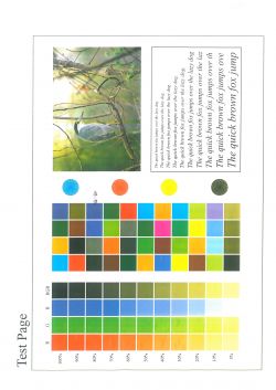 Strona testowa z próbnikiem kolorów RGB i tekstem do sprawdzania druku.