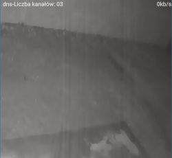 Co jest powodem występowania zakłóceń na podglądzie kamer BCS TQE5200IR3-B?