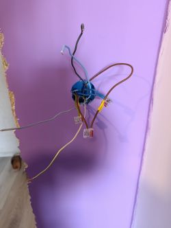 Kilka przewodów elektrycznych wychodzących z okrągłej puszki podtynkowej na fioletowej ścianie